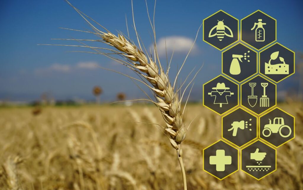 Climate-Smart Agriculture