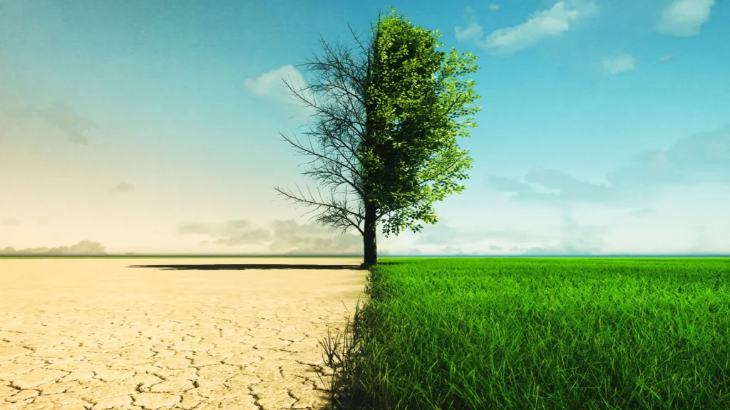 Global CO₂ Levels Hit Record